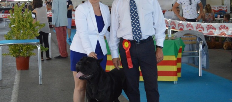 Exp. Nac & Int. de Castellon